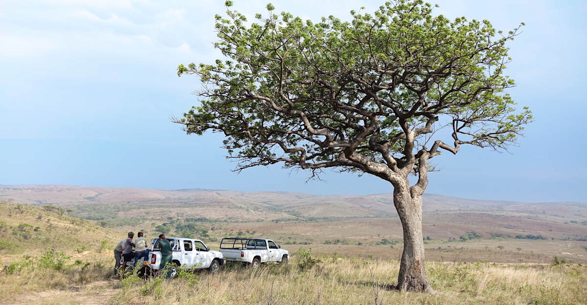 Rangers and Earthwatch Expeditions scientists, South Africa.