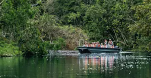 Earthwatch Expeditions guests observe wildlife, Amazon, Peru.