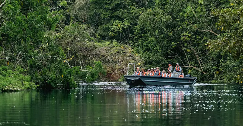 Earthwatch guests observe wildlife, Amazon, Peru.