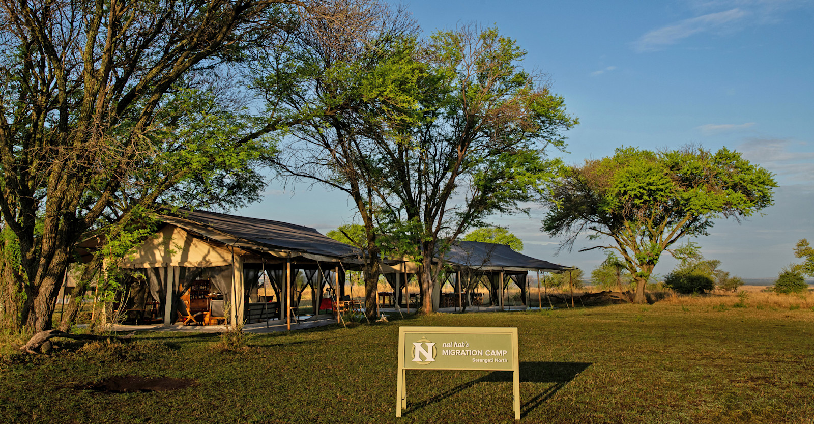 Lounge tents at Nat Hab's Migration Camp—Serengeti North