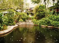 Slideshow Thumbnail 4 of 13