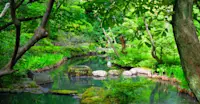 Nezu Museum Garden, Tokyo, Japan.
