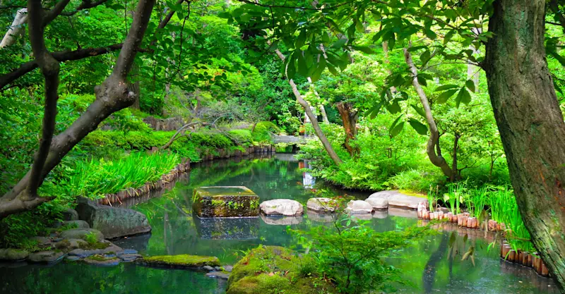 Nezu Museum Garden, Tokyo, Japan.