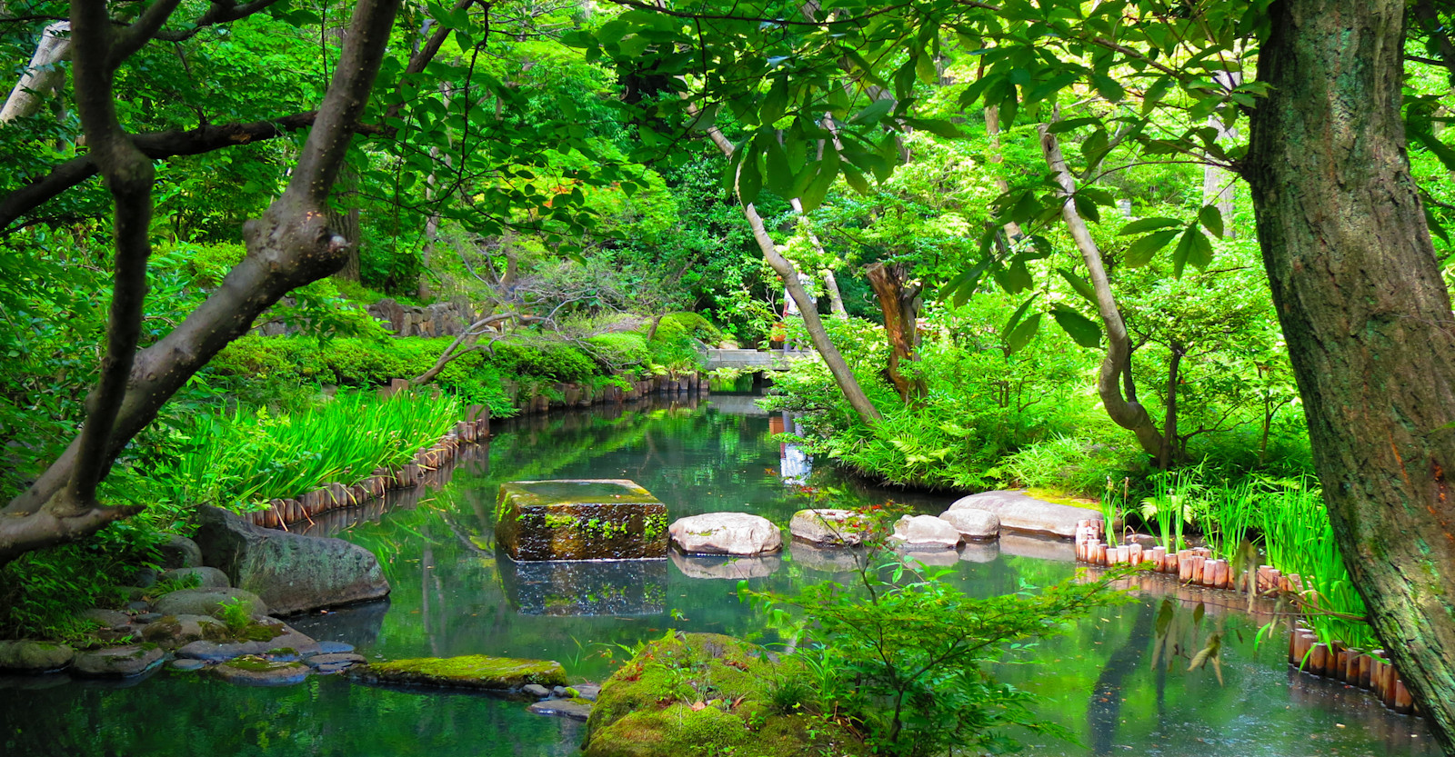 Nezu Museum Garden, Tokyo, Japan.