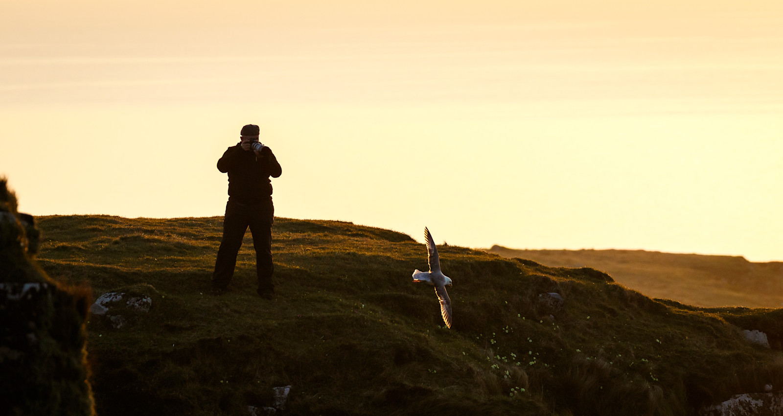 Nat Hab guest, Scotland.