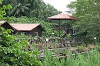 Slideshow Thumbnail 3 of 7