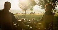 Zebras and guests at Nat Hab's Migration Camp—Serengeti National Park, Tanzania.