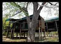 Slideshow Thumbnail 5 of 6