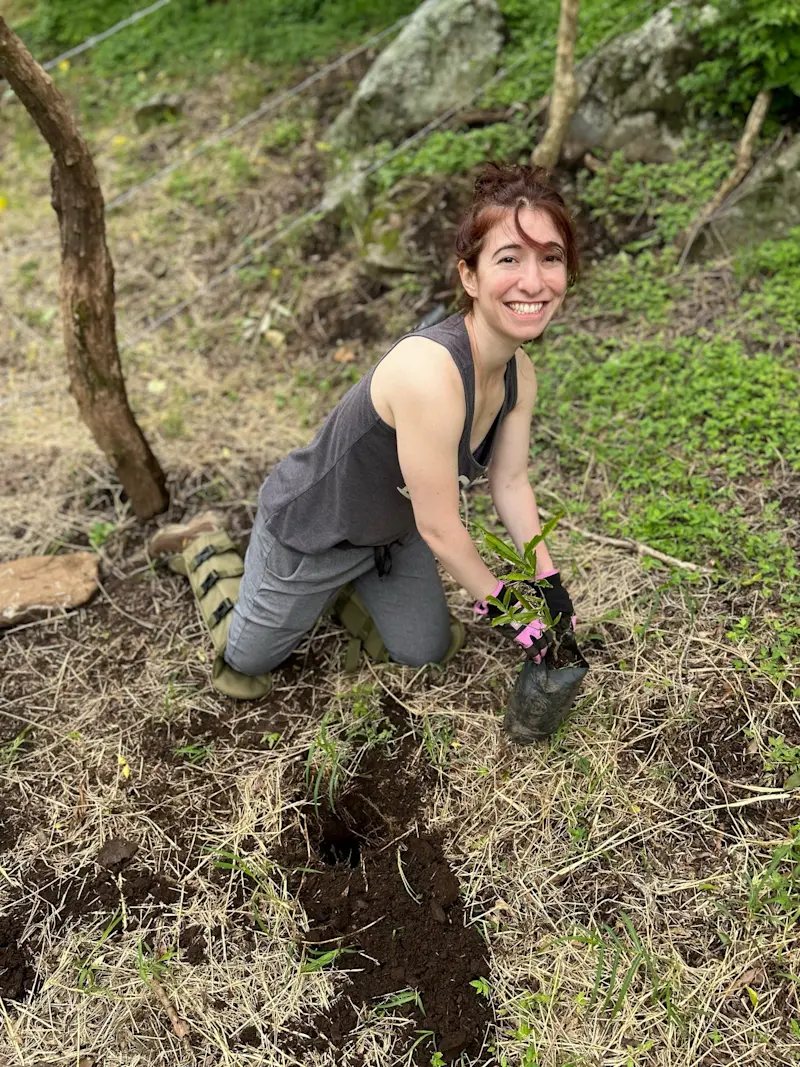 Planting shrubs in a restoration plot on an Earthwatch expedition in Costa Rica.  