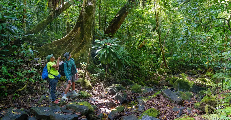 Masoala, Madagascar.