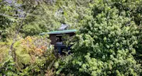 Guest cabin in the trees