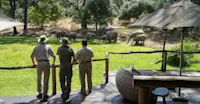 Bilimungwe Camp, South Luangwa, Zambia.