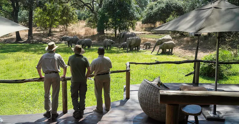 Bilimungwe Camp, South Luangwa, Zambia.