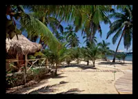 Slideshow Thumbnail 6 of 9
