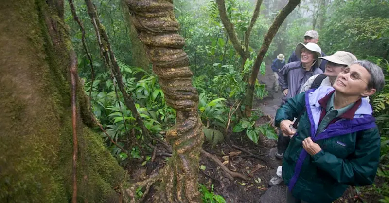 Nat Hab guests, Monteverde National Park, Costa Rica.