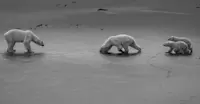 Churchill, Manitoba