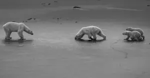 Churchill, Manitoba