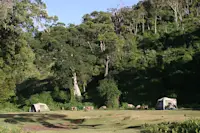 Slideshow Thumbnail 2 of 4
