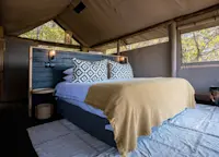 Slideshow Thumbnail 7 of 12