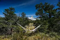 Slideshow Thumbnail 9 of 10