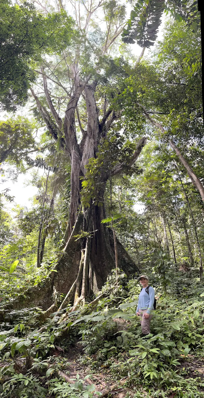 Exploring nature in the great Amazon.