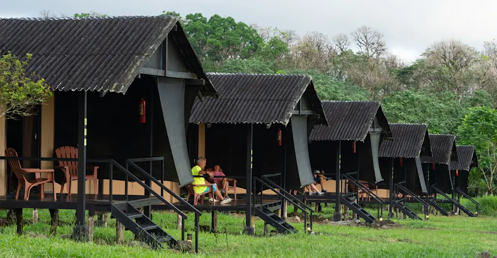 Cabins at Nat Hab's Tortoise Camp