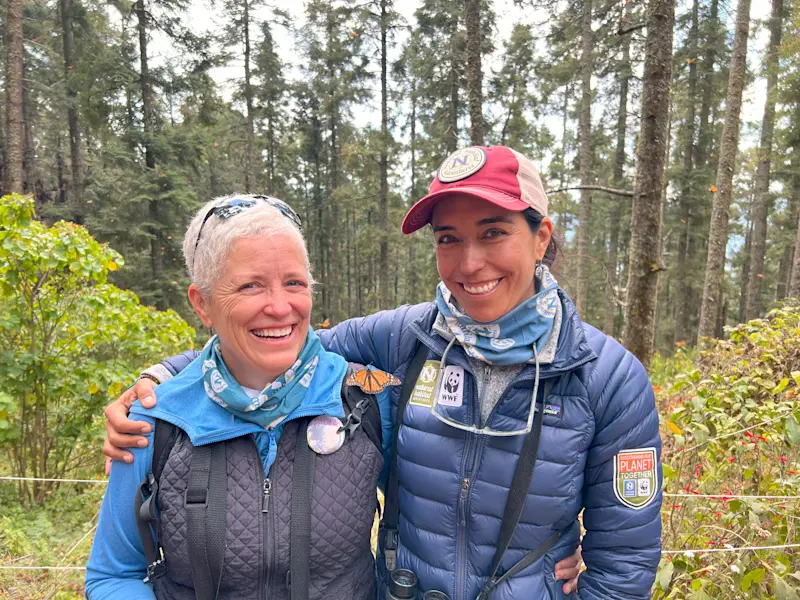 Thousands of Monarch wings, one sacred forest in Mexico.