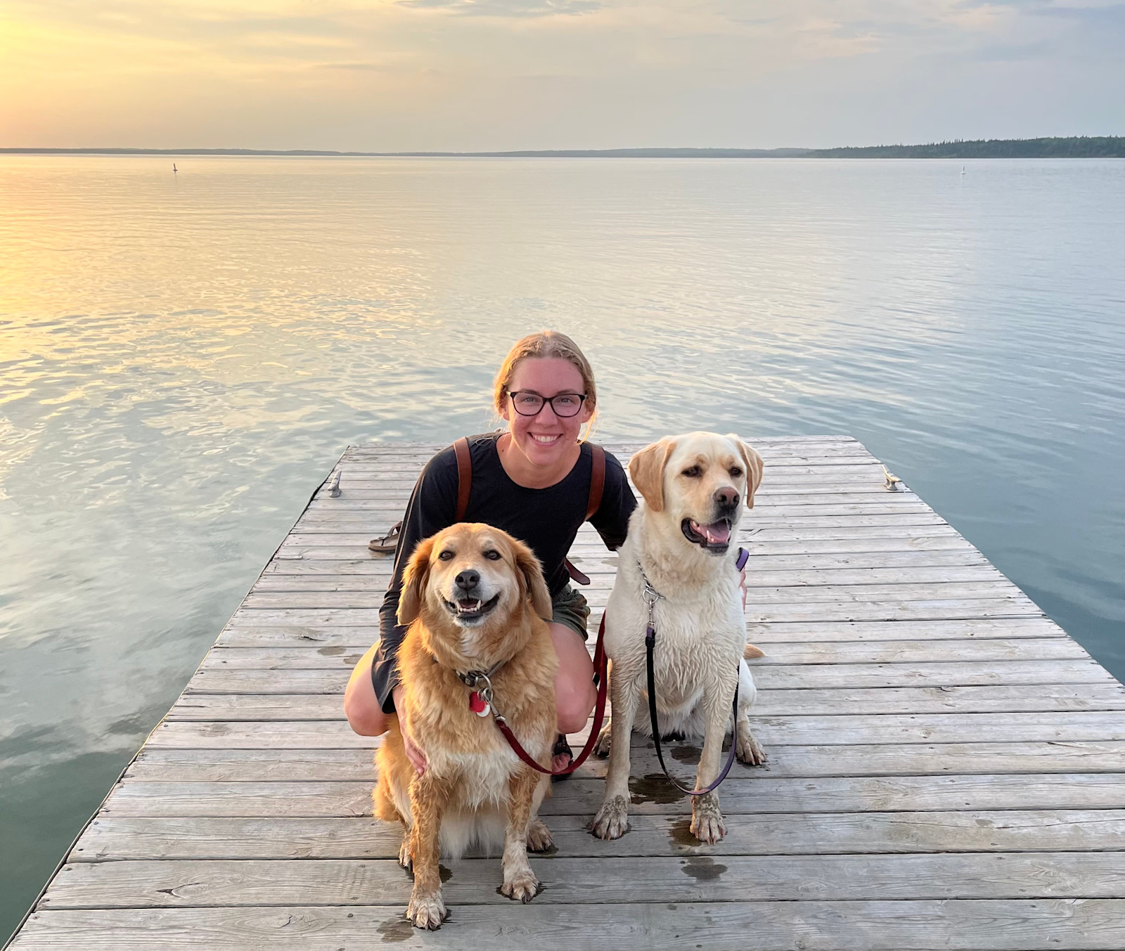 Enjoying Clear Lake with my dogs in California.