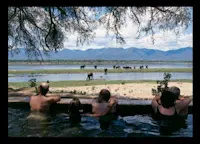 Slideshow Thumbnail 4 of 6