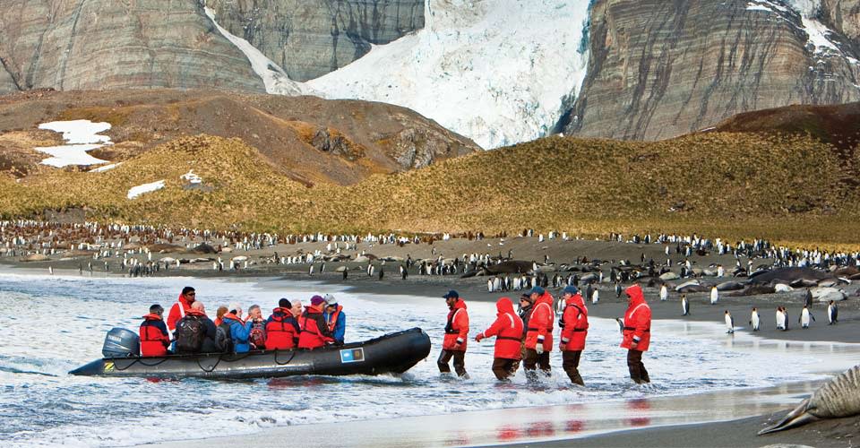 Zodiac landing, Gold Harbor, South Georgia Island.