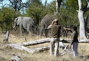 Beforeyougo|Duma Tau