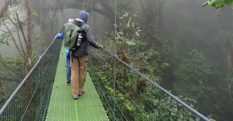 Nat Hab guests, Hanging Bridges of Tenorio Volcano, Costa Rica.