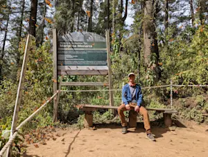 Surrounded by monarch butterflies at El Rosario Butterfly Sanctuary, Mexico. 