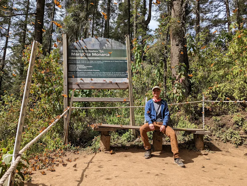 Surrounded by monarch butterflies at El Rosario Butterfly Sanctuary, Mexico. 
