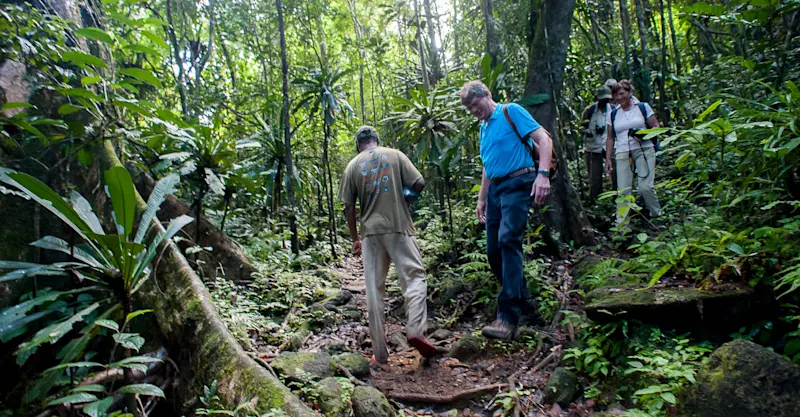 Masoala, Madagascar.