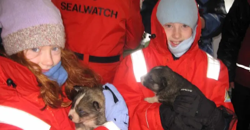 My first Nat Hab trip with my sister in the Gulf of St. Lawrence, Canada.