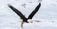 Slideshow Thumbnail 4 of 8