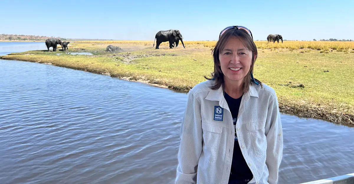 Elephants at Chobe National Park, Botswana