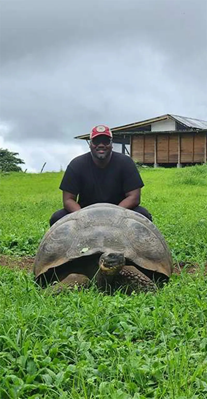 A giant tortoise in Galapagos.
