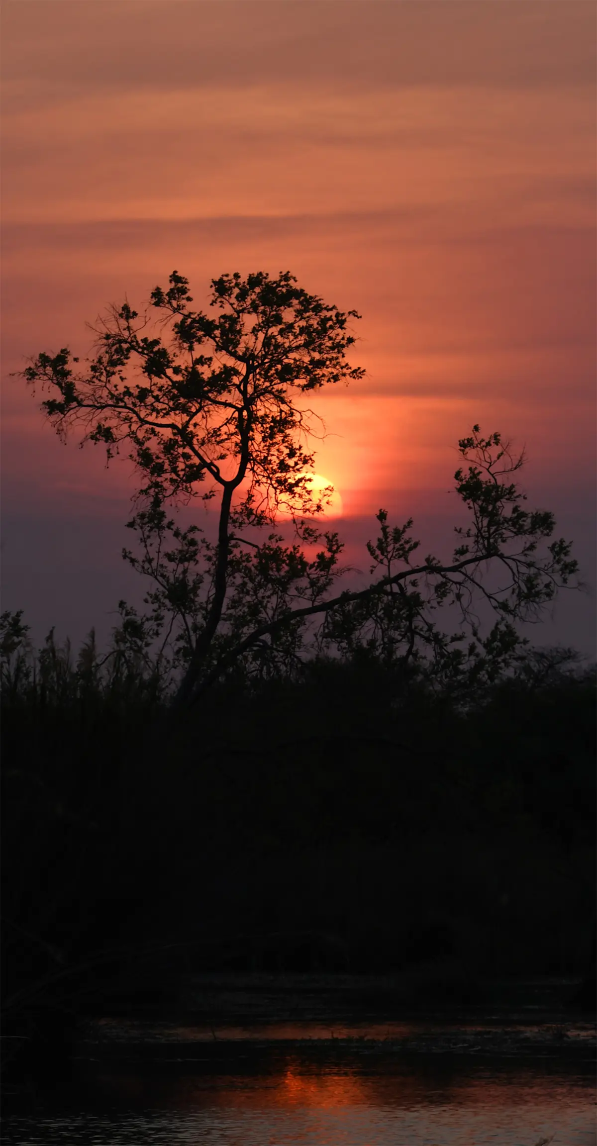 Sunset, Marataba Private Reserve, South Africa.