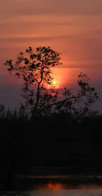 Sunset, Marataba Private Reserve, South Africa.