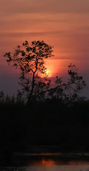 Sunset, Marataba Private Reserve, South Africa.