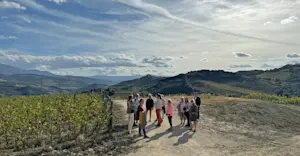 Guests on a private vineyard tour, Asciano, Italy.