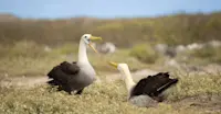 Slideshow Thumbnail 1 of 18