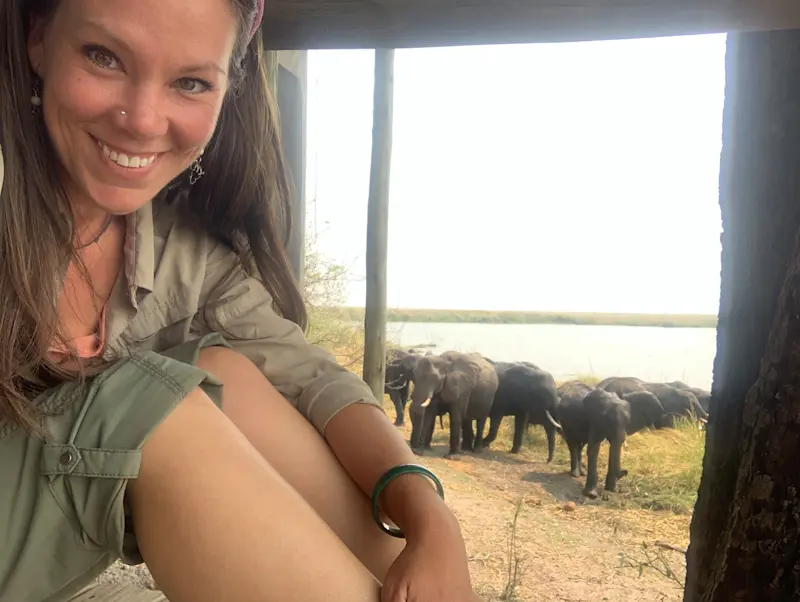 Elephants within view of my window in Botswana. 