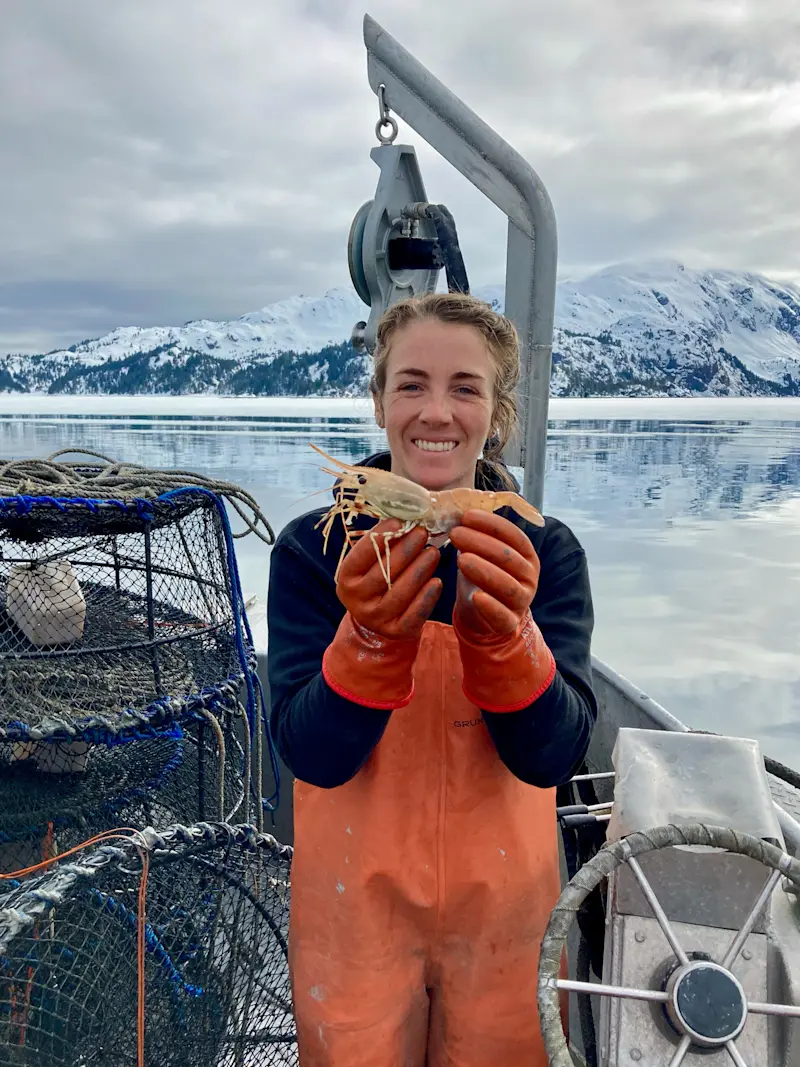 Shrimping the Alaska way in Prince William Sound, Alaska.
