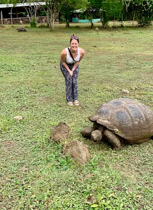 Giant tortoise in the Galapagos