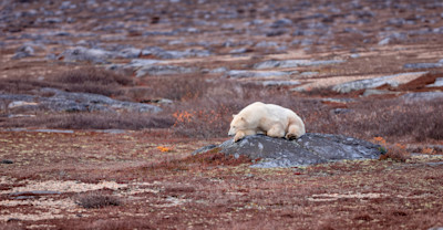 Why It Matters image