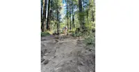 Slideshow Thumbnail 3 of 12