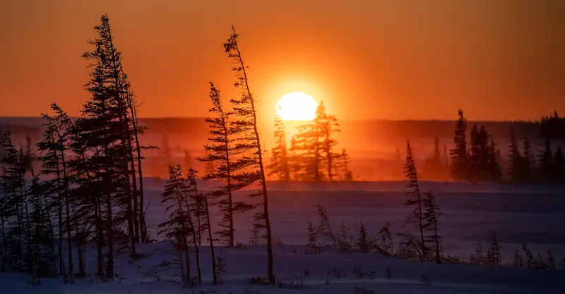 Tundra sunset, Churchill, Manitoba.
